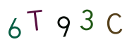 6T93C