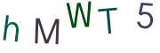 hMWT5